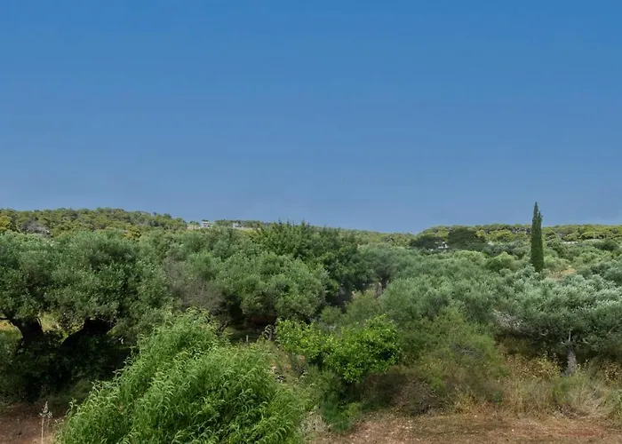 Melissa Luxury 公寓 Agios Leon