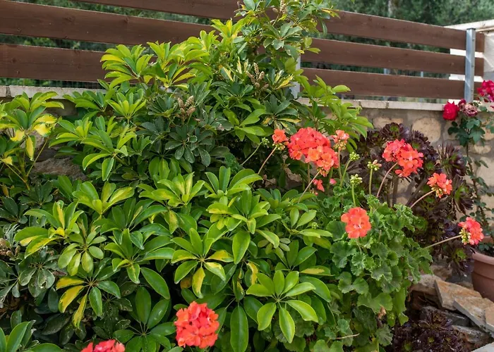 Melissa Luxury 公寓